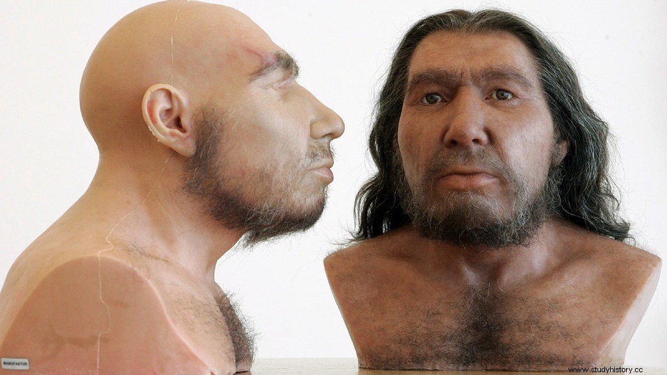 neandertales 