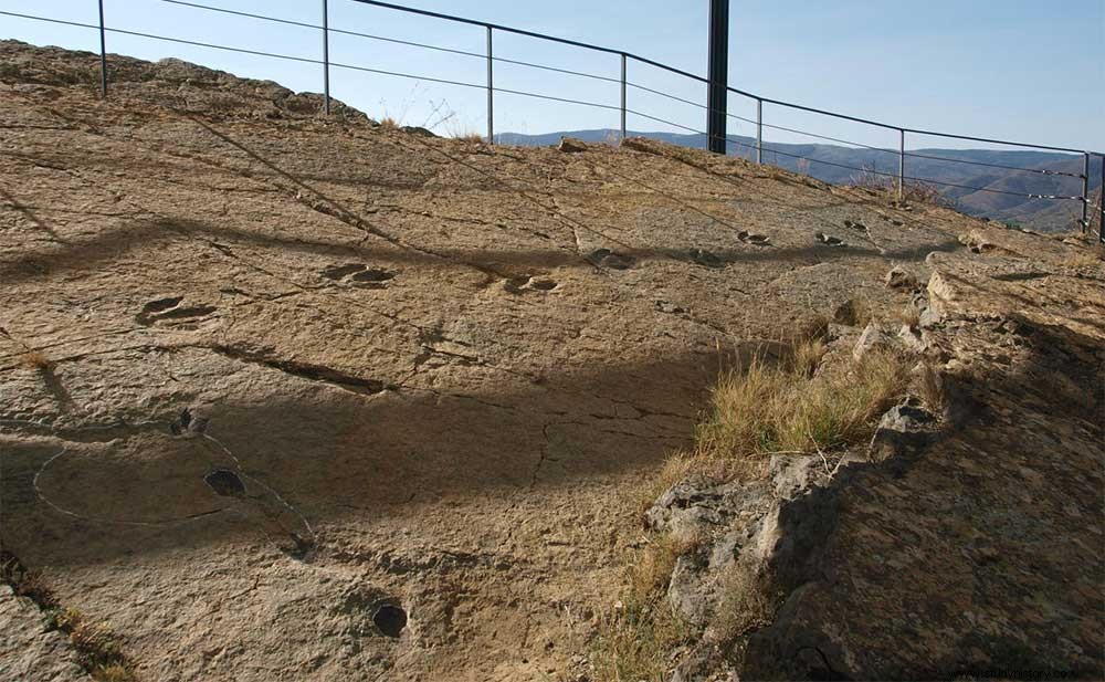 ラ・リオハ州エンシソの古生物学的遺跡 