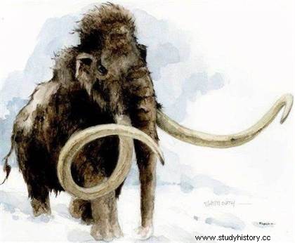 El mamut y el hombre prehistórico 