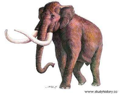 El mamut y el hombre prehistórico 