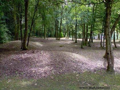 Verdún - El campo de batalla 