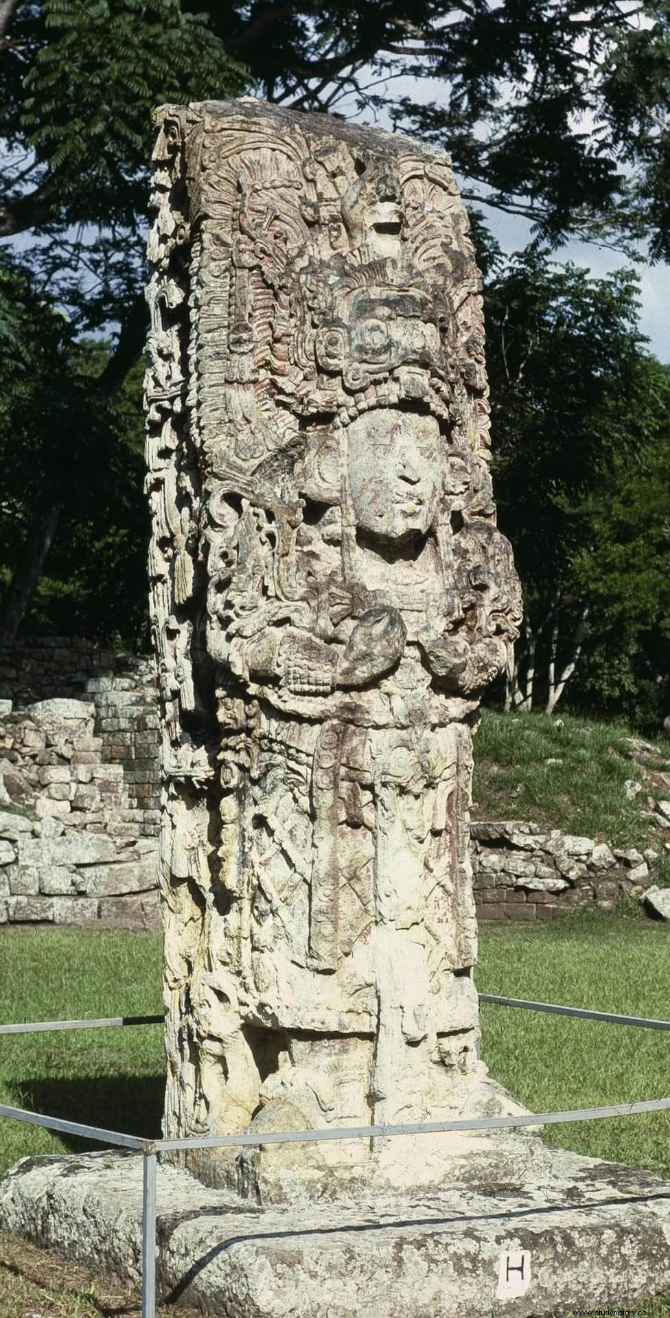 Viaje arqueológico al mundo maya 