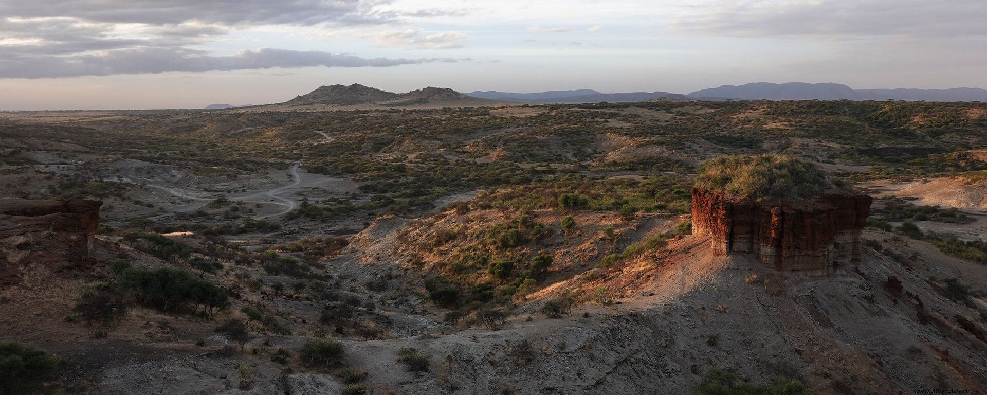 Olduvai 협곡 고인류학 및 고생태학 프로젝트. 인간의 기원과 행동에 관한 연구. 