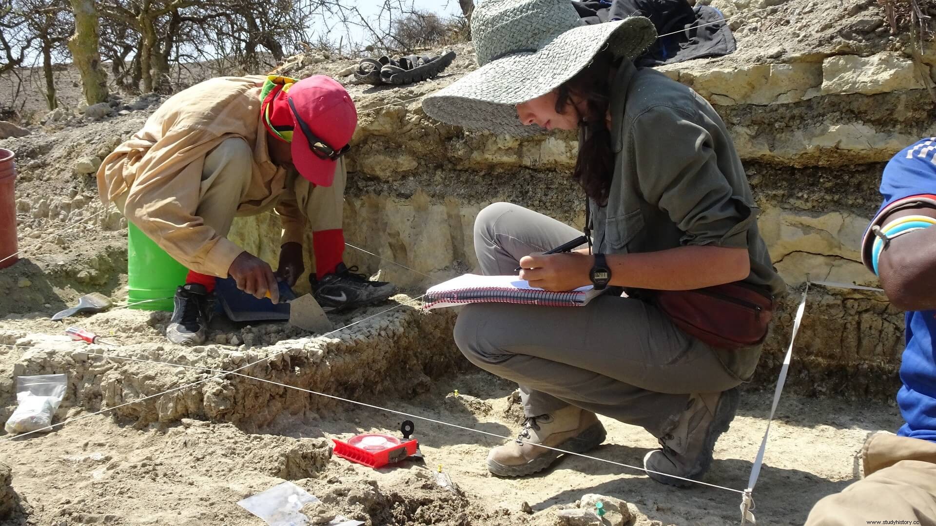 Olduvai 협곡 고인류학 및 고생태학 프로젝트. 인간의 기원과 행동에 관한 연구. 