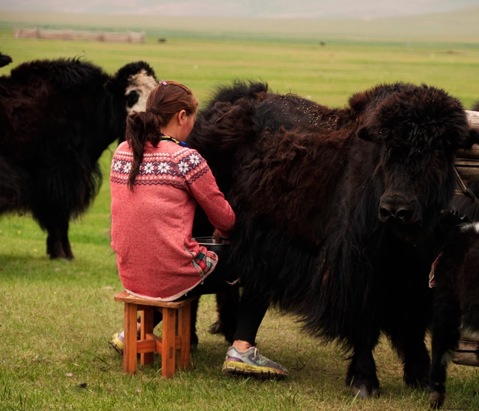 Arqueología del pastoreo nómada en Mongolia 