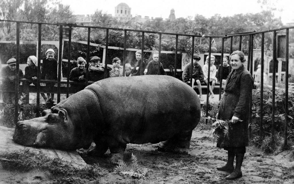 レニングラード包囲戦と戦争を生き延びたカバのベル 