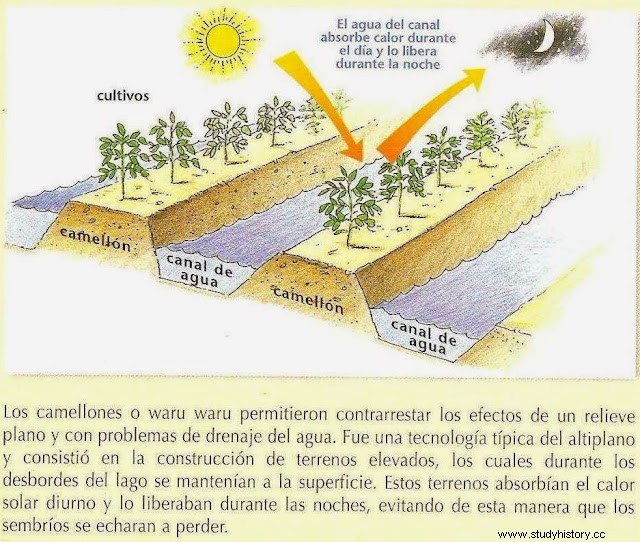 Los Reinos Aymaras o Reinos de los Lagos 