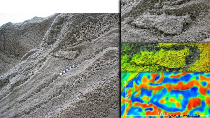 ジブラルタルでネアンデルタール人の足跡発見 