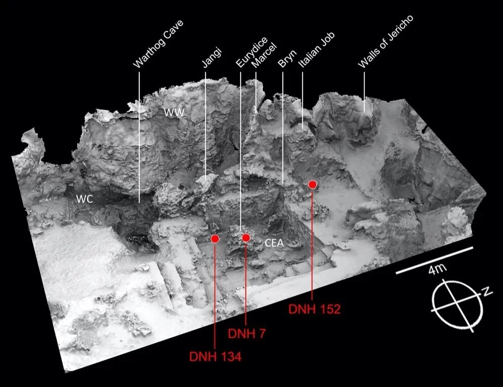 Hallados los restos del Homo Erectus más antiguo conocido 