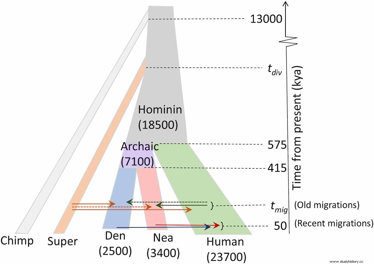 人類はまだ確認されていない祖先からの DNA を引き継いでいます 