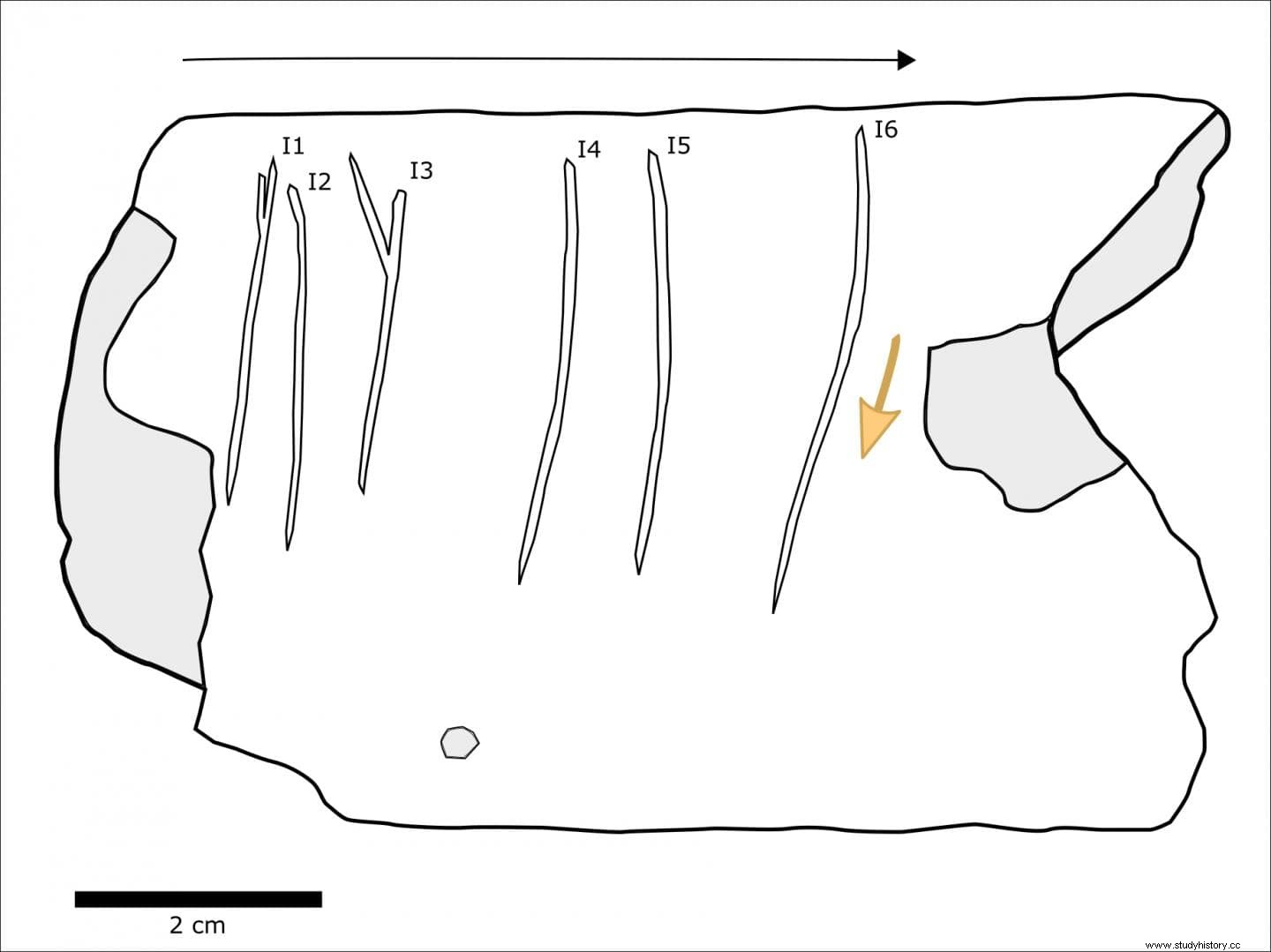 彼らは歴史上最古のシンボルが刻まれた骨の破片を発見する 