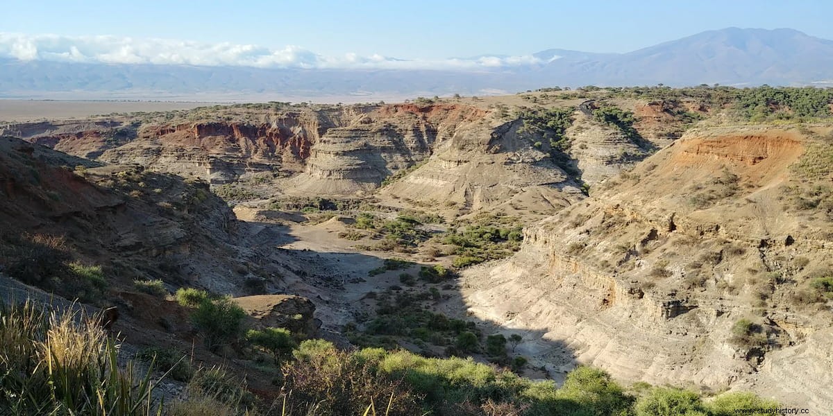 Cuentas de cáscara de huevo de avestruz revelan una red social de 50.000 años de antigüedad en África 