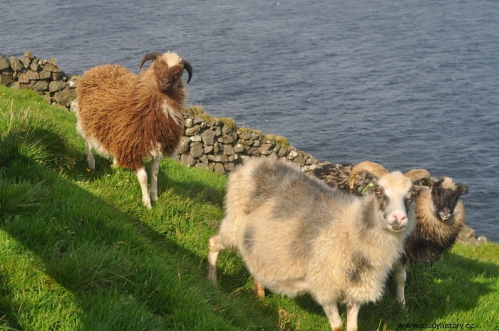 Los celtas llegaron a las remotas islas del Atlántico norte siglos antes que los vikingos 