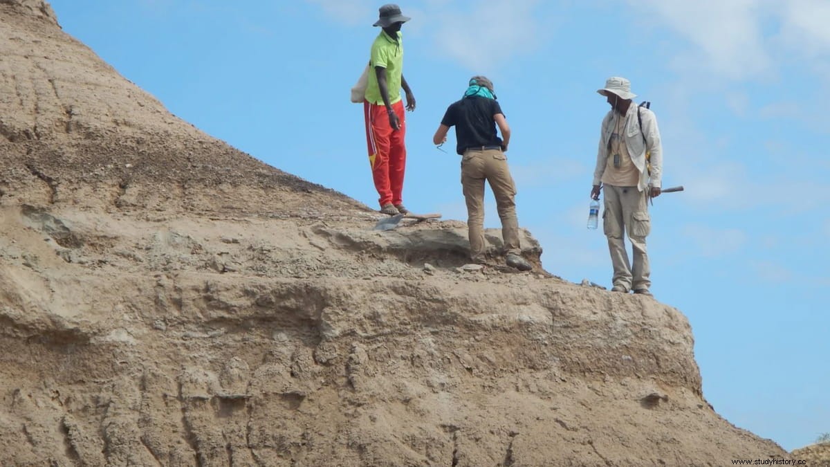 Извержение вулкана позволило датировать самые древние останки Homo Sapiens возрастом более 230 000 лет. 