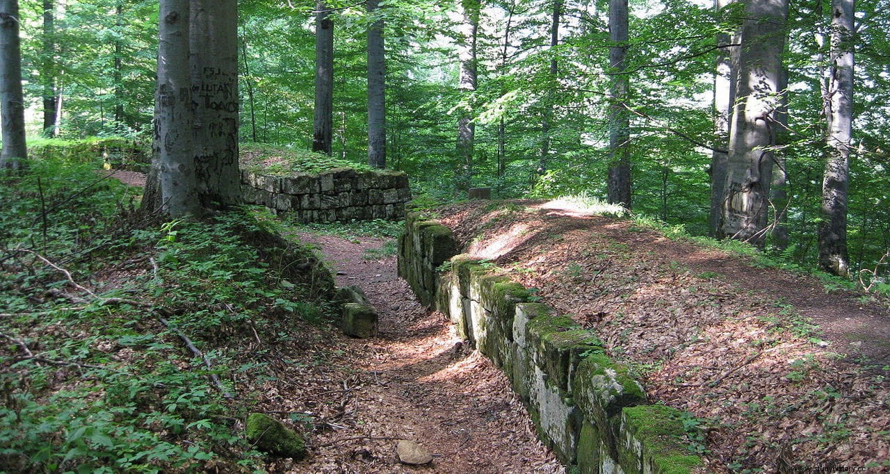 Las fortalezas de las montañas de Orastia, el sistema dacio de protección contra la conquista romana 