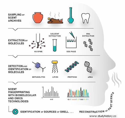 과학자들은 과거의 냄새를 연구하고 재구성하는 방법을 찾습니다. 
