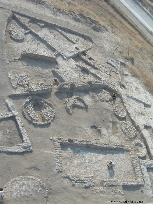 Los olivos fueron domesticados por primera vez hace 7.000 años en el valle del Jordán, la evidencia más antigua de cultivo de árboles frutales. 