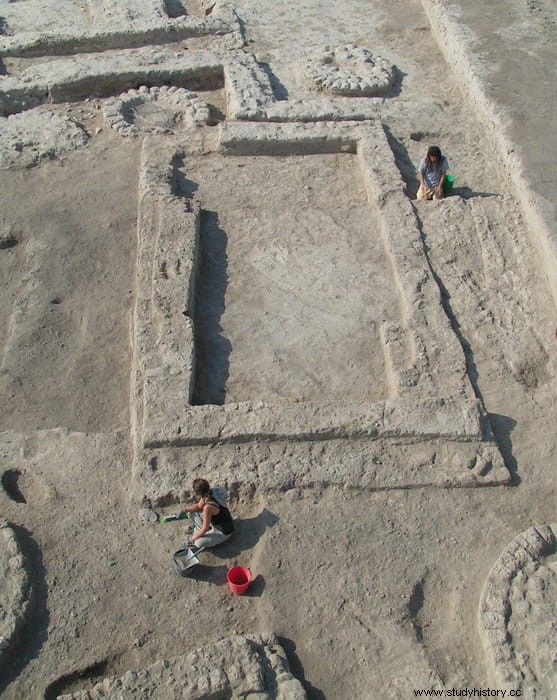 Los olivos fueron domesticados por primera vez hace 7.000 años en el valle del Jordán, la evidencia más antigua de cultivo de árboles frutales. 