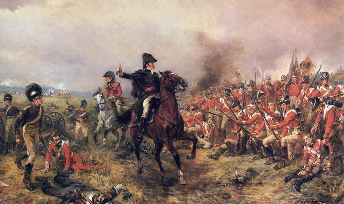 Los cuerpos de los soldados caídos en la batalla de Waterloo podrían venderse como fertilizante 