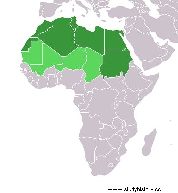 Los pequeños elefantes norteafricanos, ya extintos, con los que Aníbal cruzó los Alpes 