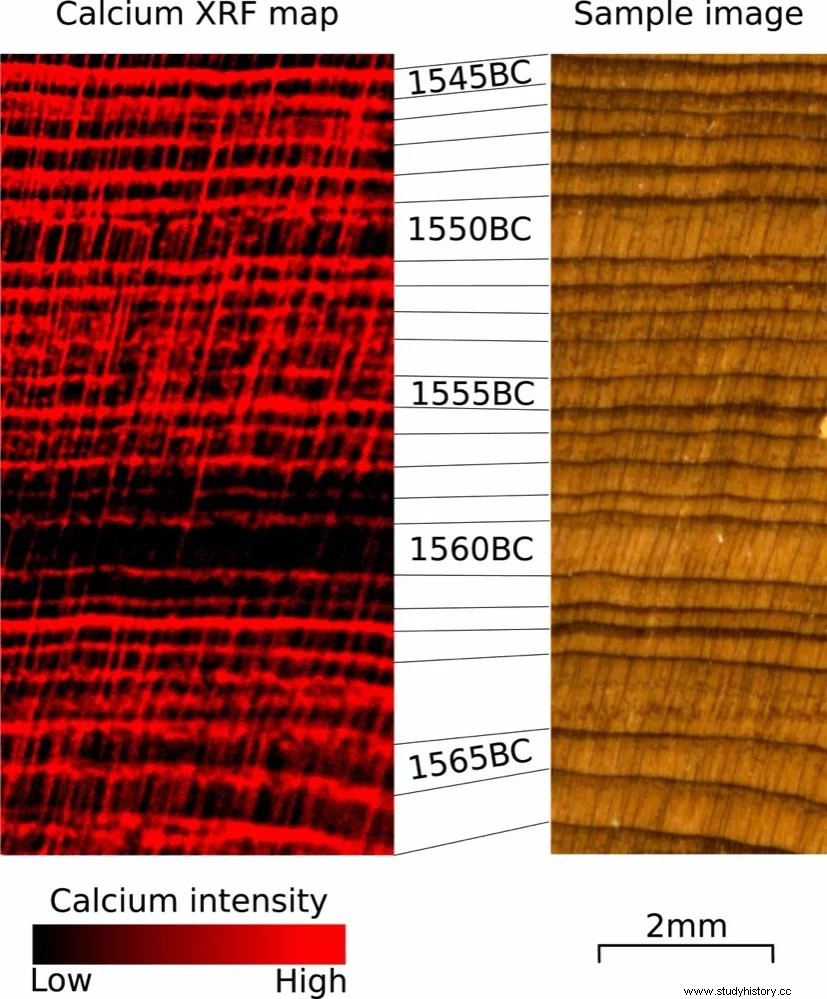 年輪から紀元前 1560 年のテラ島の大噴火の日付が特定される可能性があります。 