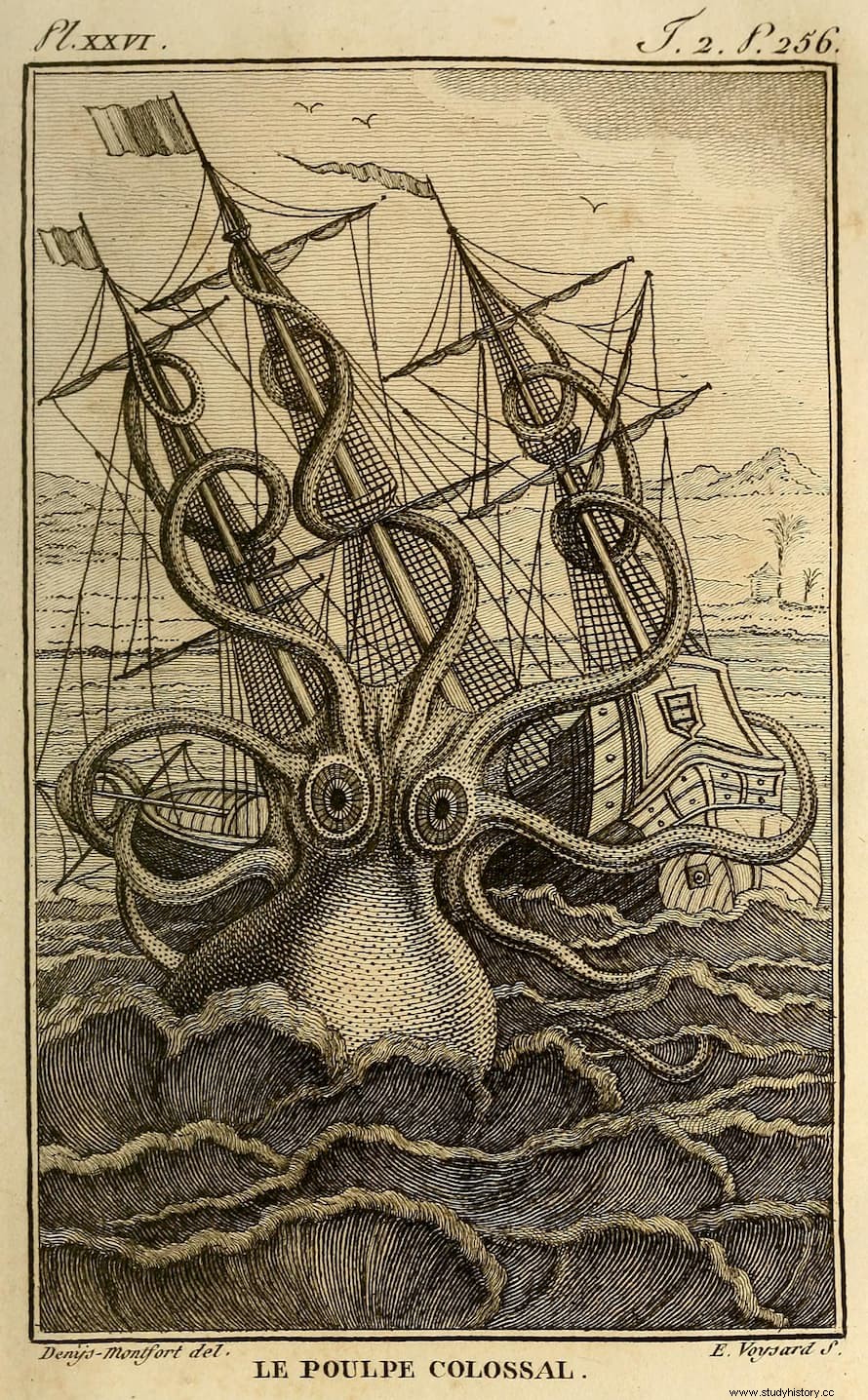 El Kraken:la realidad de un mito medieval 