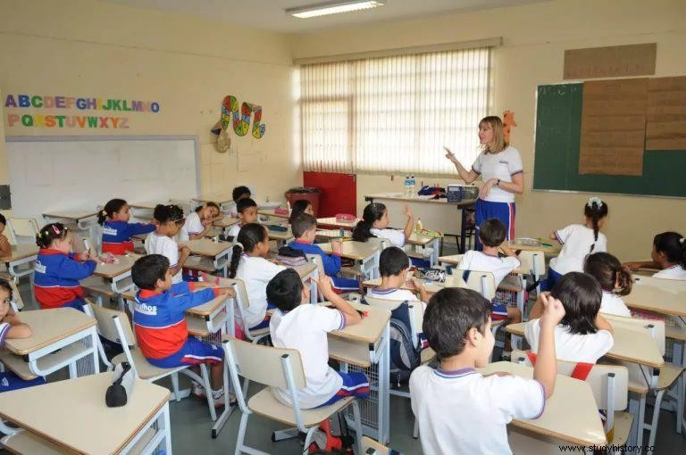 Pedagogía:¿cómo es la carrera de educación superior en el área y cuáles son los temas más discutidos en los proyectos pedagógicos? 