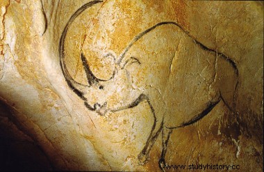 La cueva Chauvet y el arte de la prehistoria 