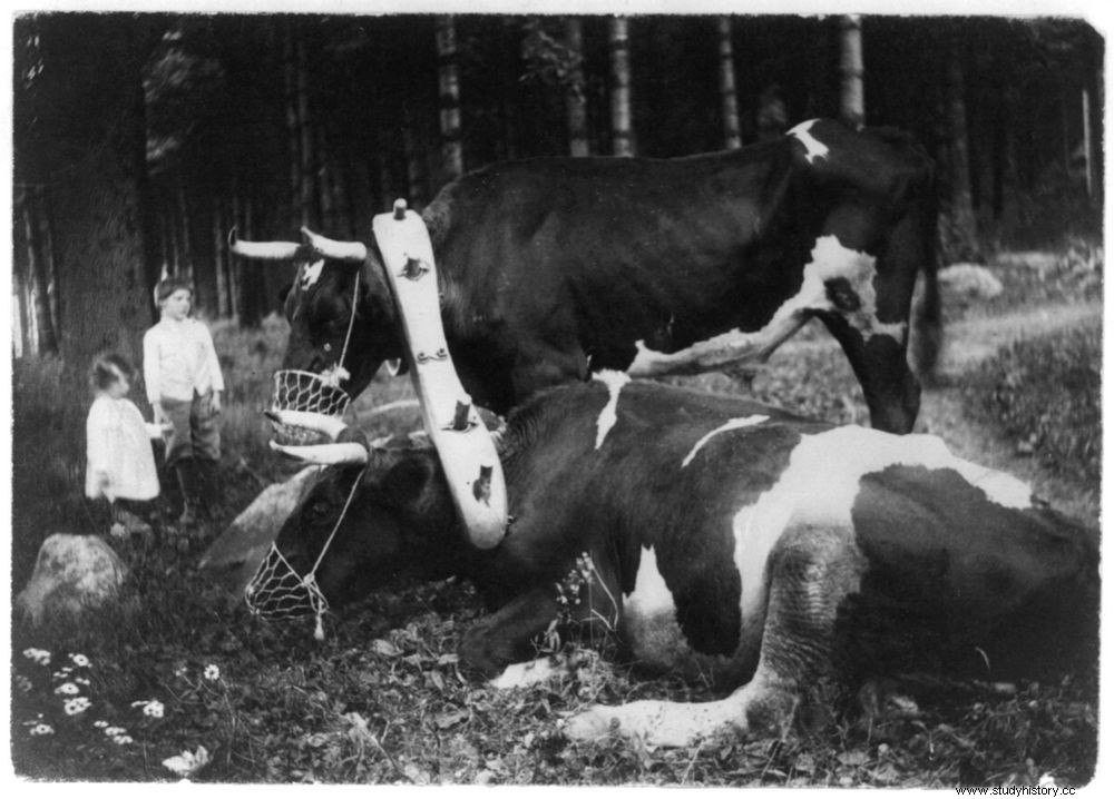 성공적인 사진작가 Gertrude Käsebier 