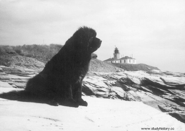 Animales del Titanic. El lado olvidado de un desastre 