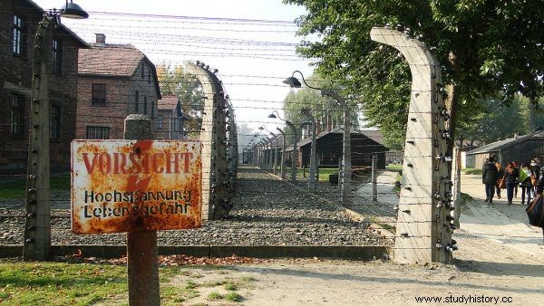  Puro surrealismo y macabro . ¿Existía algo así como... entretenimiento en Auschwitz? 