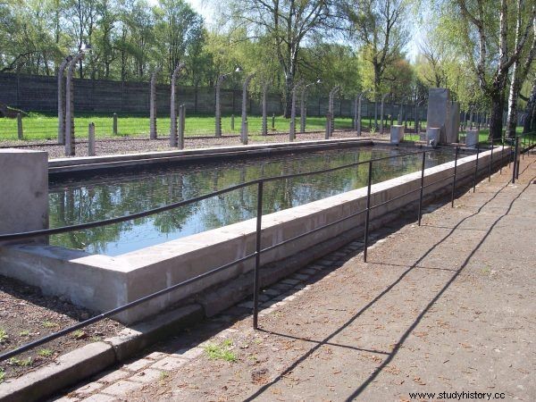  Puro surrealismo y macabro . ¿Existía algo así como... entretenimiento en Auschwitz? 