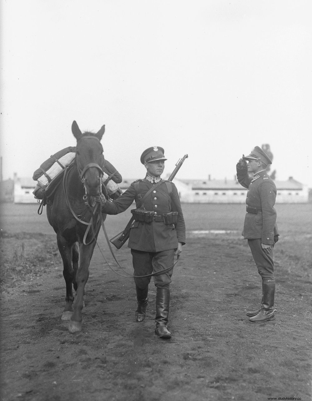 Un  manjar  olvidado. ¿Por qué los habitantes de la Polonia de antes de la guerra comían miles de caballos? 