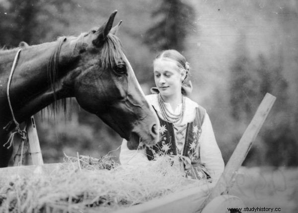 Un  manjar  olvidado. ¿Por qué los habitantes de la Polonia de antes de la guerra comían miles de caballos? 