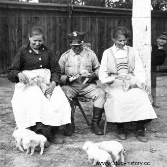 ¿Comida polaca, cocina tradicional? Todo esto es una broma. ¿Qué comían REALMENTE los polacos comunes y corrientes antes de la guerra? 