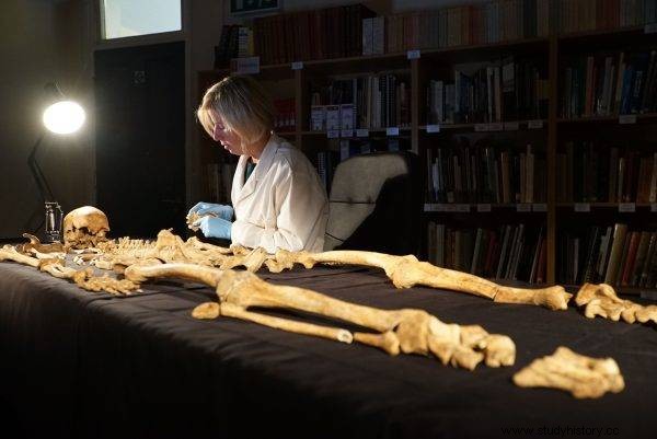 El rompecabezas del cementerio de York 