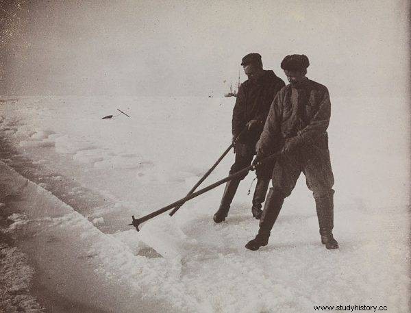 Bélgica. supervivencia polar 