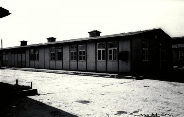 Tuvieron que donar sus cuerpos en Buchenwald y Auschwitz. ¿Cómo fueron tratadas las mujeres que trabajaban en los burdeles del campo después de la guerra? 