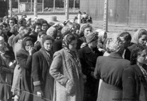 Tuvieron que donar sus cuerpos en Buchenwald y Auschwitz. ¿Cómo fueron tratadas las mujeres que trabajaban en los burdeles del campo después de la guerra? 