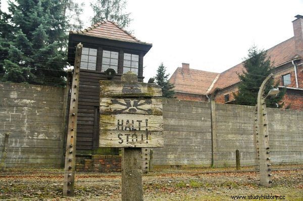 Tuvieron que donar sus cuerpos en Buchenwald y Auschwitz. ¿Cómo fueron tratadas las mujeres que trabajaban en los burdeles del campo después de la guerra? 