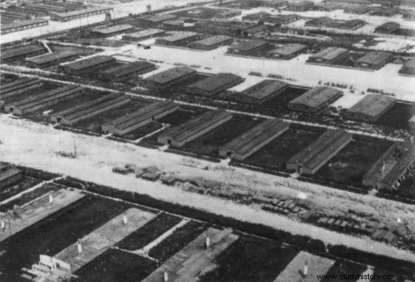 Una auténtica heroína polaca. Salvó a miles de mujeres en Majdanek. 