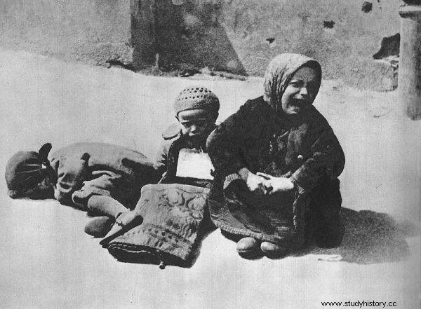  거리의 아이들을 찾기 위한 사냥이 시작되었습니다.  Irena Sendlerowa - 조용한여 주인공 