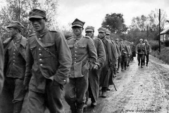 El ejército de Hitler en Cracovia. Cómo debían luchar los polacos junto a la Wehrmacht 