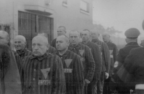 Nadie estaba a salvo. ¿Cuántos hombres fueron violados por los nazis en la Polonia ocupada? 