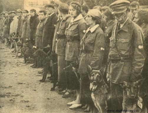 Perros soviéticos contra tanques alemanes. 