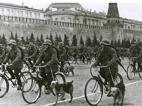 Perros soviéticos contra tanques alemanes. 