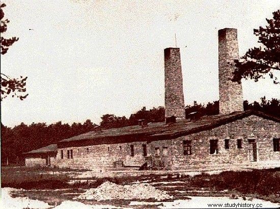 Sonderkommando agarra un arma. Motín en el campo de Auschwitz-Birkenau 