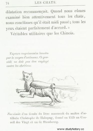 Máquinas de guerra zumbando. Cinco intentos extraordinarios de utilizar gatos en la guerra 