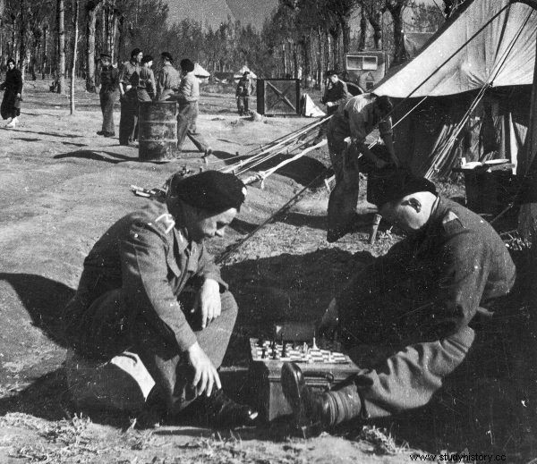 Sacrificio de sangre polaco. Explora las batallas más dañadas por el ejército de Anders 