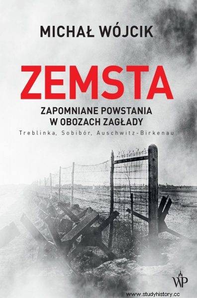 Не только Варшавское гетто. Забытое еврейское восстание в Треблинке 